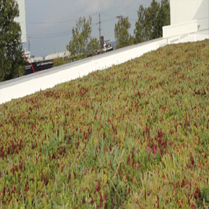 Ohio Green Roofing Solutions, Commercial Roofing contractors Akron